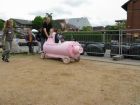 IMG_0747